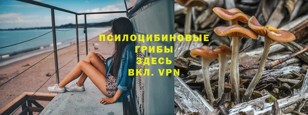 2c-b Майский